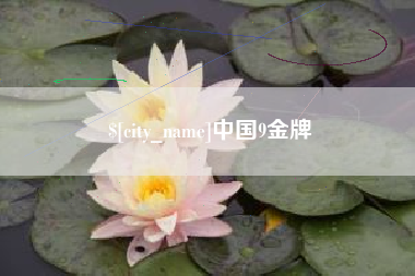 沈丘中国9金牌