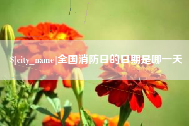 沈丘全国消防日的日期是哪一天