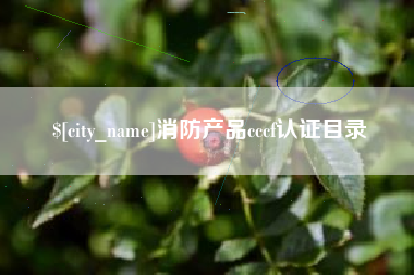 沈丘消防产品cccf认证目录