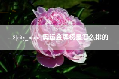 沈丘奥运金牌榜是怎么排的