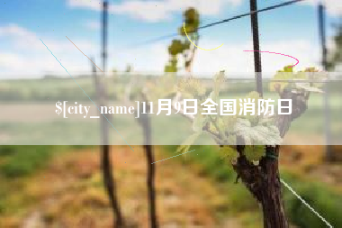 沈丘11月9日全国消防日