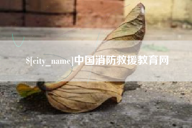沈丘中国消防救援教育网