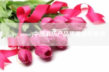 沈丘中国消防产品质量信息查询