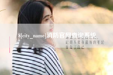 沈丘消防官网查询系统