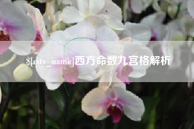 沈丘西方命数九宫格解析