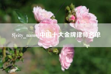 沈丘中国十大金牌律师名单