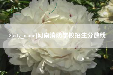 沈丘河南消防学校招生分数线