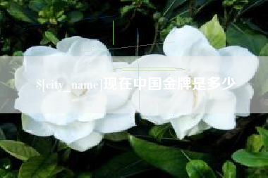 沈丘现在中国金牌是多少