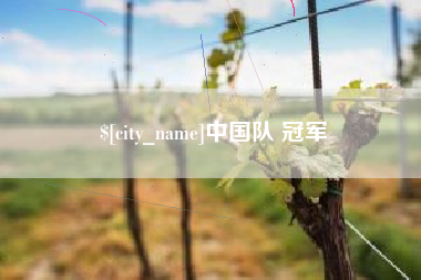 沈丘中国队 冠军