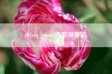 沈丘九宫排除法
