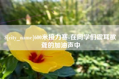 沈丘600米接力赛-在同学们震耳欲聋的加油声中