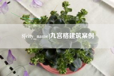 沈丘九宫格建筑案例