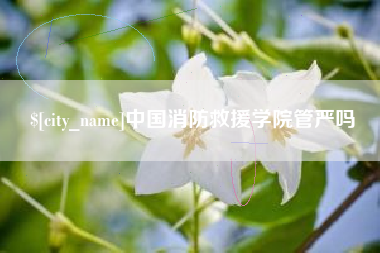 沈丘中国消防救援学院管严吗