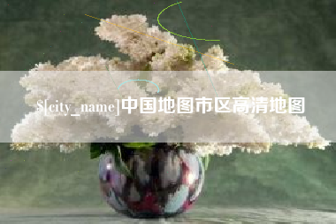 沈丘中国地图市区高清地图