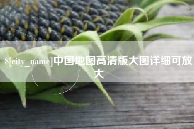 沈丘中国地图高清版大图详细可放大