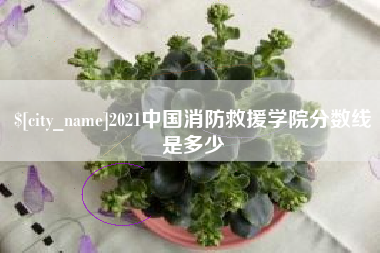沈丘2021中国消防救援学院分数线是多少