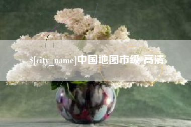沈丘中国地图市级 高清