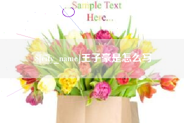 沈丘王子豪是怎么写