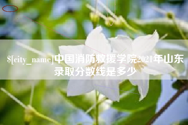 沈丘中国消防救援学院2021年山东录取分数线是多少