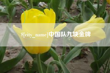 沈丘中国队九块金牌