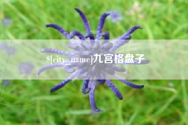 沈丘九宫格盘子