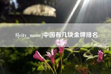 沈丘中国有几块金牌排名