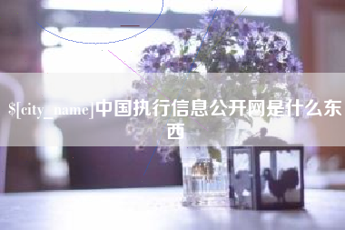 沈丘中国执行信息公开网是什么东西