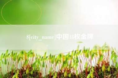 沈丘中国18枚金牌