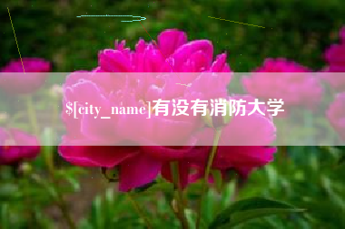 沈丘有没有消防大学