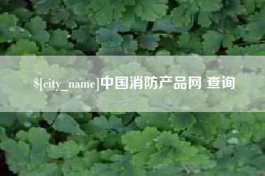 沈丘中国消防产品网 查询