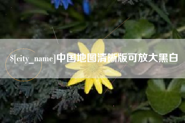 沈丘中国地图清晰版可放大黑白