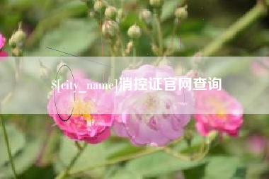 沈丘消控证官网查询