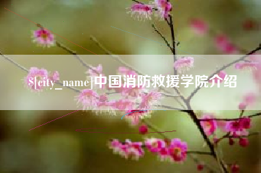 沈丘中国消防救援学院介绍