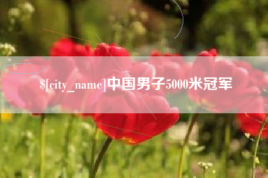 沈丘中国男子5000米冠军