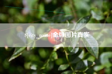沈丘金牌图片真实