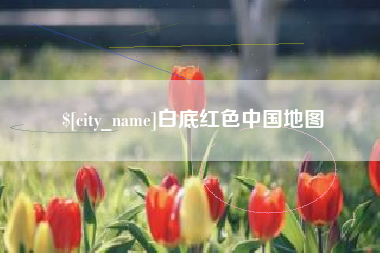 沈丘白底红色中国地图