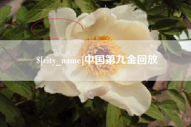 沈丘中国第九金回放