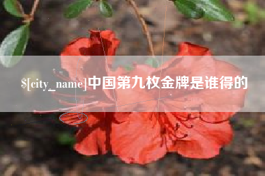 沈丘中国第九枚金牌是谁得的
