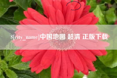 沈丘中国地图 超清 正版下载