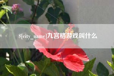 沈丘九宫格游戏叫什么