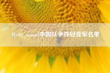 沈丘中国队争夺冠亚军名单