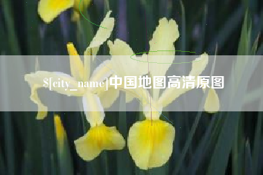 沈丘中国地图高清原图