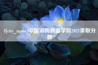 沈丘中国消防救援学院2021录取分数