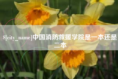 沈丘中国消防救援学院是一本还是二本