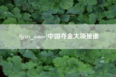 沈丘中国夺金大项是谁