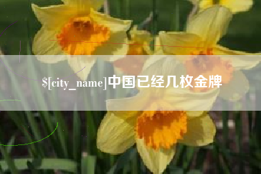 沈丘中国已经几枚金牌