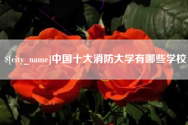 沈丘中国十大消防大学有哪些学校