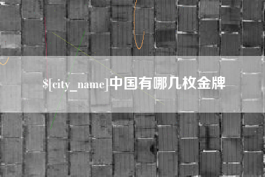 沈丘中国有哪几枚金牌