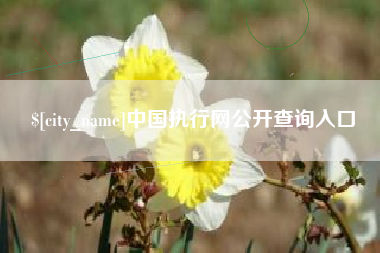沈丘中国执行网公开查询入口