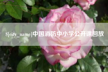 沈丘中国消防中小学公开课回放